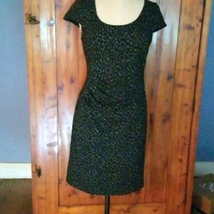 Ann Taylor Sz 6.  Animal print short sleeve dress.